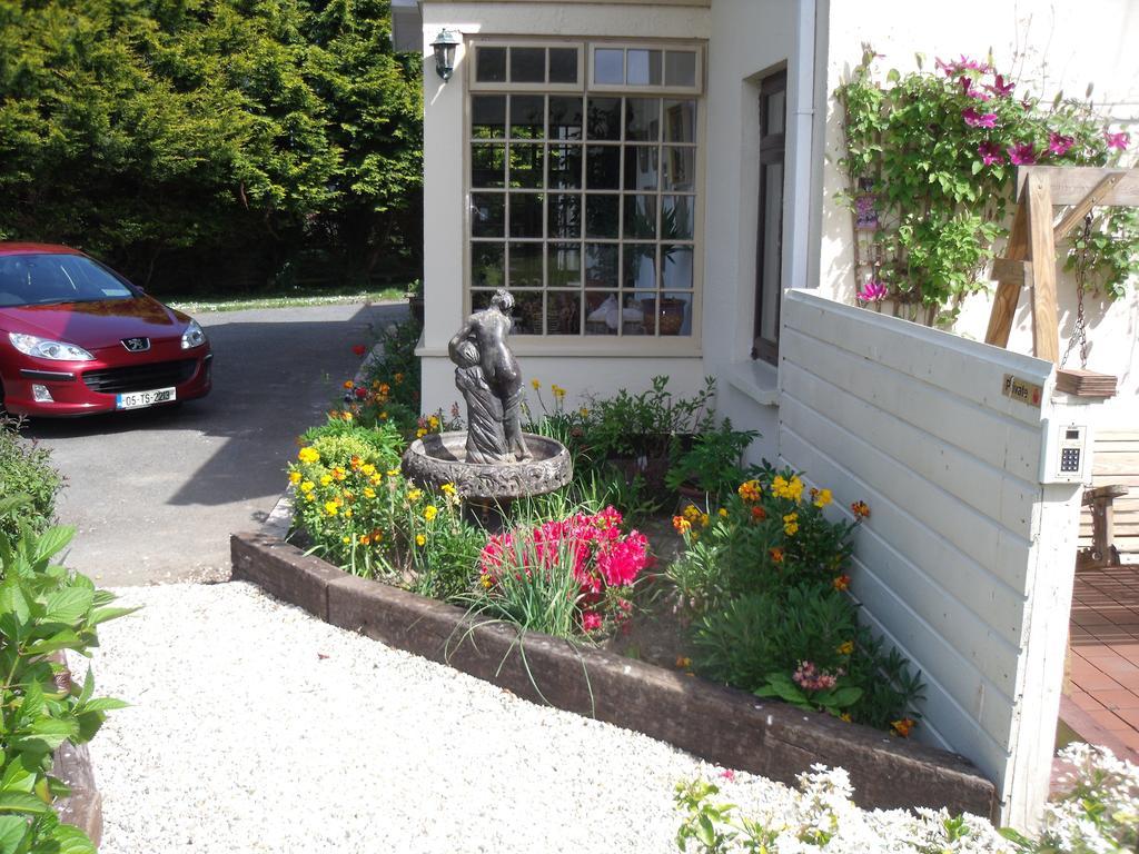 Abrae House Guest House Rosslare Harbour Buitenkant foto