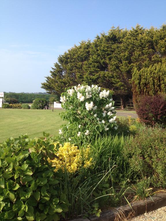 Abrae House Guest House Rosslare Harbour Buitenkant foto