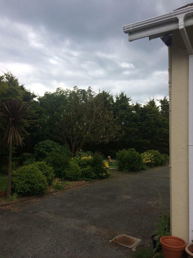 Abrae House Guest House Rosslare Harbour Buitenkant foto